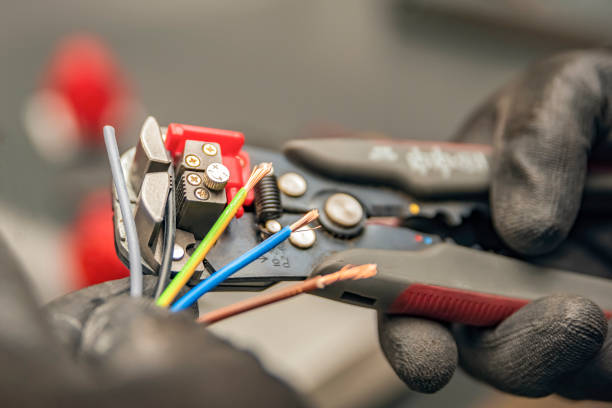 Best Electrical System Inspection  in Palm Harbor, FL