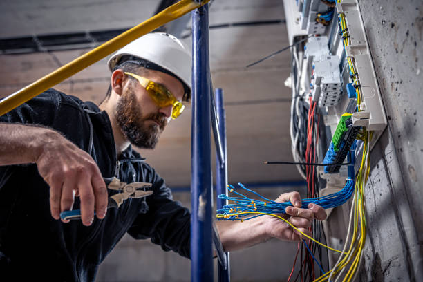 Best Electrical Contractors for Businesses  in Palm Harbor, FL