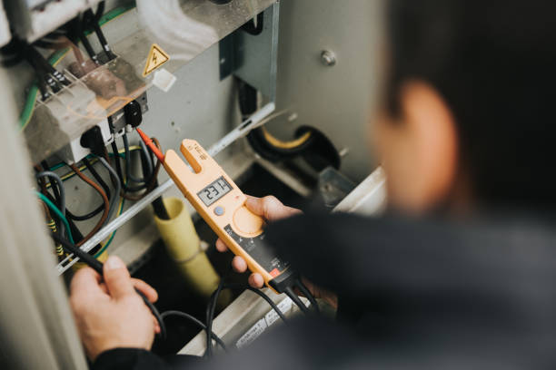 Best Electric Panel Repair  in Palm Harbor, FL