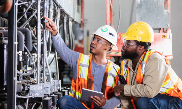 Best Generator Installation Services  in Palm Harbor, FL