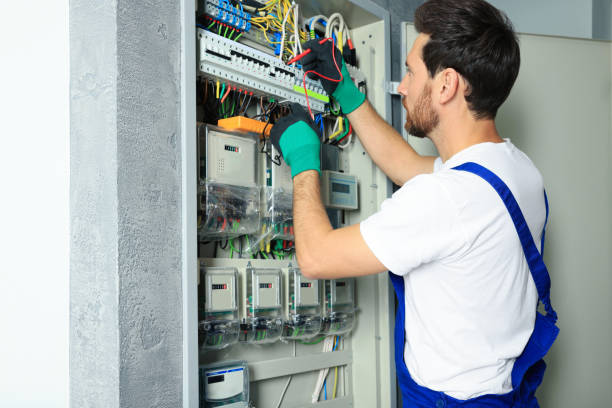 Best Affordable Electrician  in Palm Harbor, FL