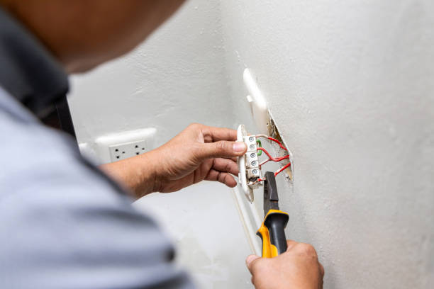 Best Local Electrician Companies  in Palm Harbor, FL