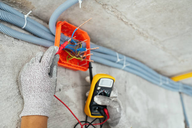 Best Commercial Electrician Services  in Palm Harbor, FL