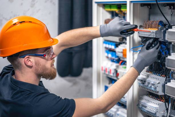 Best Ceiling Fan Installation Electrician  in Palm Harbor, FL