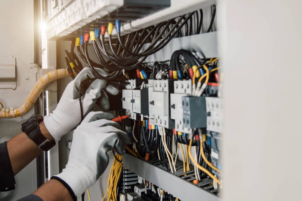Best Electrician Near Me  in Palm Harbor, FL